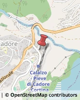 Grassi Uso Alimentare Calalzo di Cadore,32042Belluno