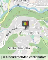 Articoli Sportivi - Dettaglio Caspoggio,23020Sondrio