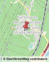 Agriturismi Cortina sulla Strada del Vino,39040Bolzano