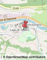 Licei - Scuole Private Tesero,38030Trento
