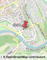 Associazioni Sindacali Belluno,32100Belluno