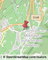 Frutta e Verdura - Ingrosso Montagna,39040Bolzano