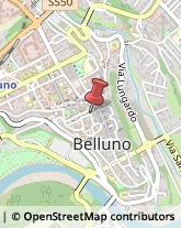 Psicologi Belluno,32100Belluno