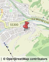 Manutenzione Stabili Bormio,23032Sondrio