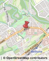 Vigili del Fuoco Belluno,32100Belluno