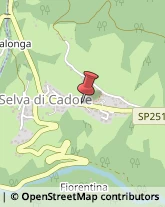 Vendite per Corrispondenza Selva di Cadore,32020Belluno