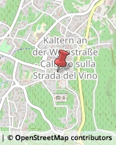 Odontoiatri e Dentisti - Medici Chirurghi Caldaro sulla Strada del Vino,39052Bolzano