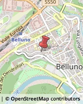 Recupero Crediti Belluno,32100Belluno