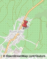 Agopuntura Romallo,38028Trento