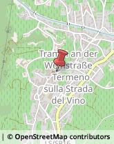 Farmacie Termeno sulla Strada del Vino,39040Bolzano