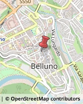 Associazioni e Federazioni Sportive Belluno,32100Belluno