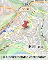 Società di Telecomunicazioni Belluno,32100Belluno