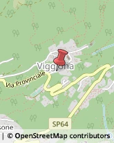 Liquori - Vendita Trarego Viggiona,28826Verbano-Cusio-Ossola