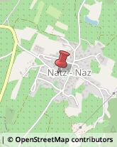 Pensioni Naz-Sciaves,39040Bolzano