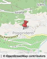 Aziende Agricole Poggiridenti,23020Sondrio