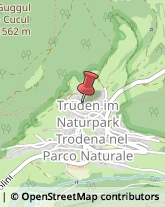 Autotrasporti Trodena nel parco naturale,39040Bolzano