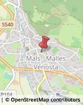 Case di Riposo e Istituti di Ricovero per Anziani Malles Venosta,39024Bolzano