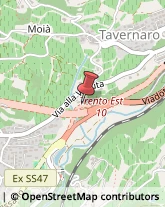 Vivai Piante e Fiori Trento,38100Trento