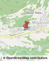 Comuni e Servizi Comunali Bosentino,38049Trento