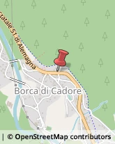 Vivai Piante e Fiori Borca di Cadore,32040Belluno