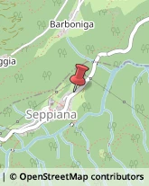 Scuole Pubbliche Seppiana,28843Verbano-Cusio-Ossola