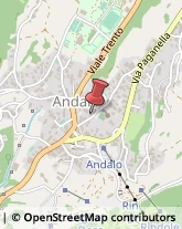 Articoli Sportivi - Dettaglio Andalo,38010Trento