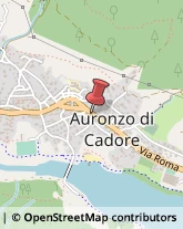 Amministrazioni Immobiliari Auronzo di Cadore,32041Belluno