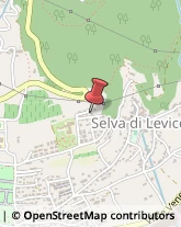 Località Violante Salvadoneghe, 9/A,38056Levico Terme