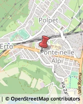 Panetterie Ponte nelle Alpi,32014Belluno