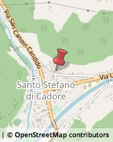 Autotrasporti Santo Stefano di Cadore,32045Belluno