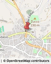 Gelaterie Tricesimo,33019Udine