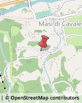 Miele Cavalese,38033Trento