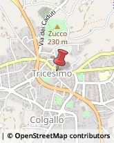 Consulenza Informatica Tricesimo,33019Udine