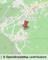 Aziende Agricole Andriano,39010Bolzano