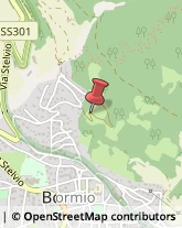 Aziende Agricole Bormio,23032Sondrio