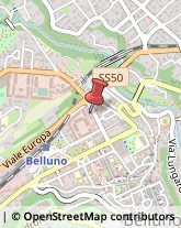 Trasporti Refrigerati Belluno,32100Belluno