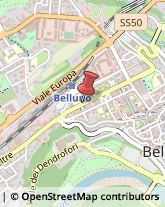 Avvocati Belluno,32100Belluno