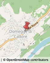 Animali Domestici - Toeletta Domegge di Cadore,32040Belluno