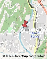 Frutta e Verdura - Dettaglio Capo di Ponte,25044Brescia