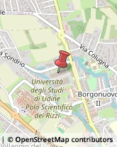 Ricerca Scientifica - Istituti,33100Udine