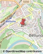 Cardiologia - Medici Specialisti Belluno,32100Belluno