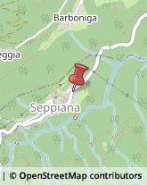 Imbiancature e Verniciature Seppiana,28843Verbano-Cusio-Ossola