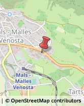 Università ed Istituti Superiori Malles Venosta,39024Bolzano