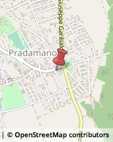 Logopedia Pradamano,33040Udine