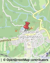 Prosciuttifici e Salumifici - Vendita Pinzano al Tagliamento,33038Pordenone