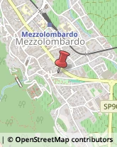 Ricami - Dettaglio Mezzolombardo,38017Trento