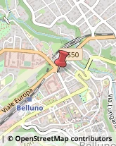 Avvocati Belluno,32100Belluno