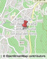 Tour Operator e Agenzia di Viaggi Caldaro sulla Strada del Vino,39052Bolzano