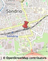 Ortofrutticoltura Sondrio,23100Sondrio