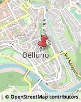 Licei - Scuole Private Belluno,32100Belluno